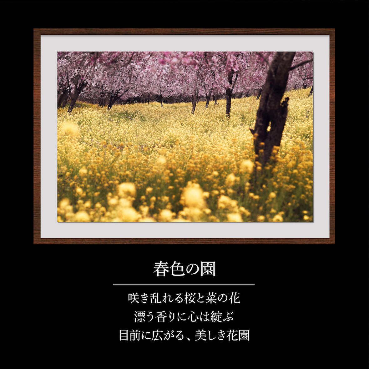 春色の園(金額無し).jpg